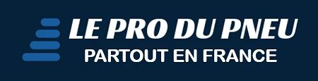 leprodupneu.fr