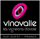 vinovalie-boutique.com