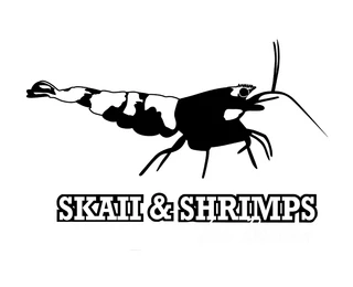 skaii-and-shrimps.fr