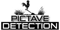 pictavedetection.net