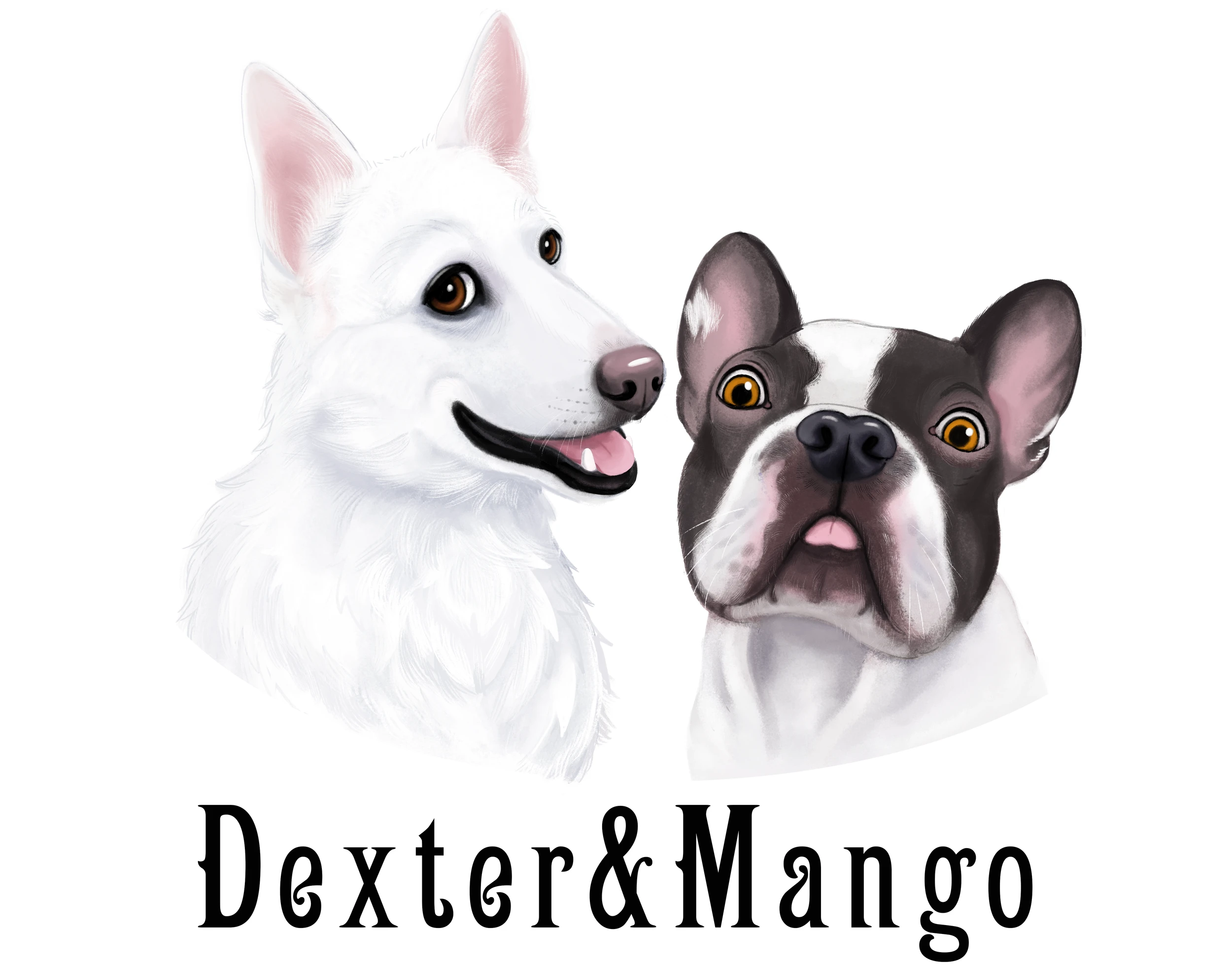 dexter-et-mango.fr