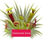 carnivores.zone