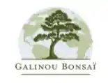 bonsaigalinou.com