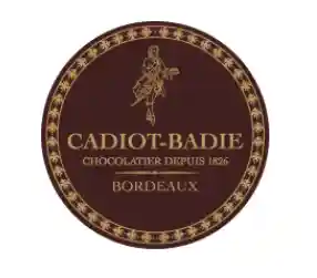 cadiot-badie.com