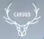 caruus.fr