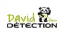 david-detection.com