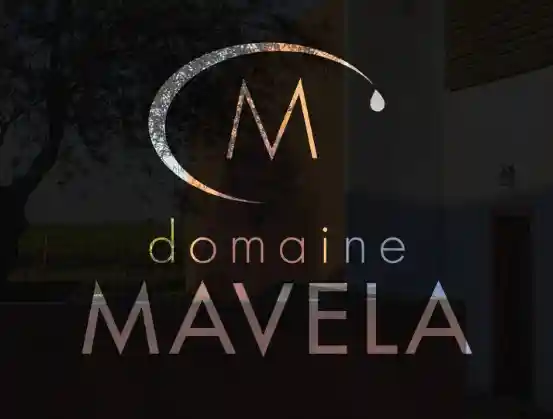 domaine-mavela.com