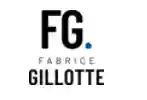 fabricegillotte.com