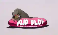 flipflop.dog