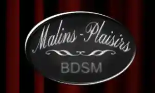 malins-plaisirs.com