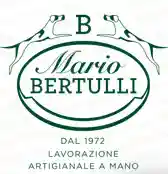 mariobertulli.com