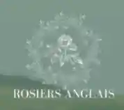 rosiersanglais.com