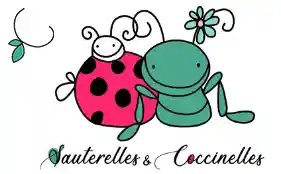 sauterellesetcoccinelles.com