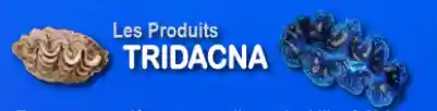 tridacna.fr