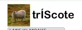 triscote.fr