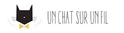 un-chat-sur-un-fil.fr