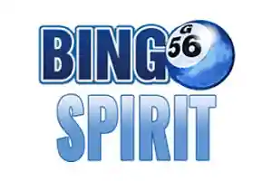 bingospirit.com