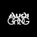 audigang.fr